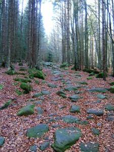 Cesta na Plešné jezero