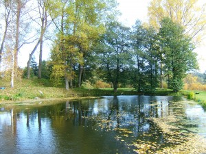 Černá v Pošumaví - sádky