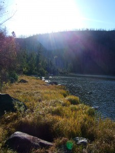 Plešné jezero