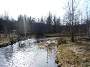 Černý Kříž
